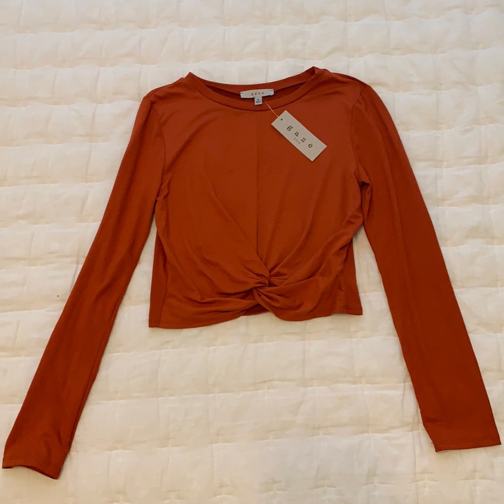 Gaze long sleeve burnt orange crop top